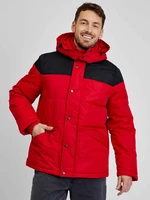 GAP Winter Hooded Jacket - Men