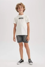 DEFACTO Regular Fit Short