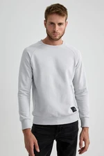 DEFACTO Regular Fit Sweatshirt