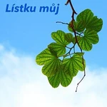 Tomáš Kolařík, Jakub Šimral – Lístku můj