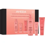 Aveda Nutriplenish™ Hydrating Haircare Kit dárková sada na vlasy