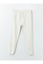 LC Waikiki Slim Fit Men's Jogger Sweatpants