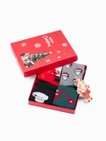 Edoti Men's socks X-mas box