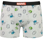 Men's boxer Marvel Avengers - Frogies