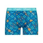 Men's boxers Winter Classic Frogies Christmas