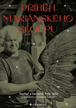 Příběh Mariánského sloupu - David Černý