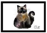 Plakát v rámu, Kočka - černý rámeček, 30x20 cm