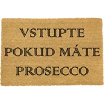 Rohožka z prírodného kokosového vlákna ARTS Doormats Vstúpte, 40 x 60 cm