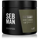 Sebastian Professional SEB MAN The Dandy pomáda na vlasy pre prirodzenú fixáciu 75 ml