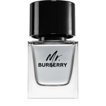 Burberry Mr. Burberry toaletní voda pro muže 50 ml