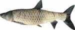 BeCare Pillow Grass Carp 100 cm