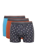 DEFACTO Men's Patterned 3-Pack Boxer