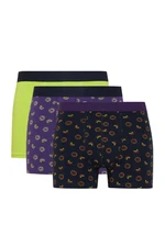 DEFACTO Regular Fit 3-pack Boxer