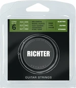 Richter Ion Coated Electric Guitar Strings - 010-060 Corzi chitare electrice