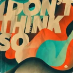 Nvmeri I Don't Think So (Vinyl LP)