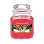 Yankee Candle Aromatická svíčka Classic malá Tropical Jungle 104 g