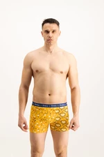 Men's boxers Frogies Zodiac Baran