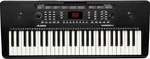 Alesis Harmony 54 Kezdő szintetizátor