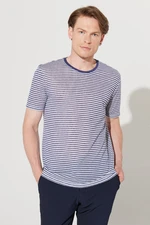 ALTINYILDIZ CLASSICS Men's White-Navy Blue Slim Fit Slim Fit Crewneck Striped T-Shirt.