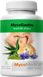 MYCOMEDICA MycoGastro 90 g