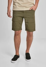 Performance Cargo Shorts summerolive