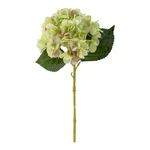 Sztuczny kwiat (wysokość 36 cm) Hydrangea – Bloomingville