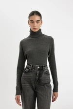 DEFACTO Regular Fit Turtleneck Basic Sweater