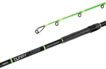 Delphin DUNAY Carp Canna 2,4 m 200 g 2 parti