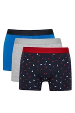 DEFACTO Regular Fit 3-Piece Boxer