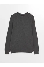 LC Waikiki Crew Neck Long Sleeve Men's Knitwear Sweater