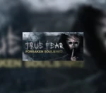 True Fear: Forsaken Souls Part 2 Steam CD Key