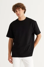 ALTINYILDIZ CLASSICS Men's Black Comfort Fit Relaxed Cut Crew Neck Cotton T-Shirt