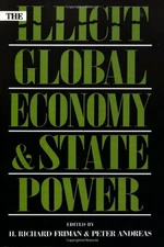 The Illicit Global Economy and State Power