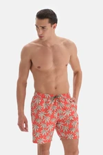 Dagi Orange - Ecru Palm Des. Medium Shorts