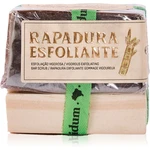 feito brasil Ziriguidum exfoliační rapadura 90 g