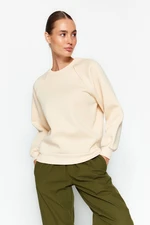 Trendyol Stone Relaxed Basic Raglan Sleeve Crew Neck Knitted Sweatshirt