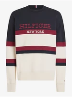 bluza męska Tommy Hilfiger