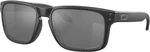 Oakley Holbrook 92290437 Black/Prizm Black Polar Lifestyle okulary