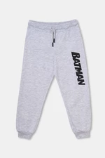 Dagi Boys' Gray Sweatpants