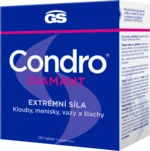 GS Condro Diamant 120 tablet