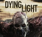 Dying Light UNCUT Steam CD Key