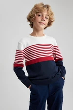 DEFACTO Boy's Crew Neck Knitwear Sweater