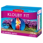 TEREZIA Kĺby Fit 60 kapsúl