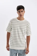 DEFACTO Standard Fit Crew Neck Cotton Striped Short Sleeve T-Shirt