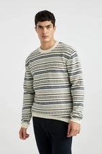 DEFACTO Standard Fit Regular Cut Crew Neck Patterned Knitwear Sweater