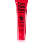 Pure Paw Paw Ointment balzám na rty a suchá místa 25 g