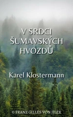 V srdci šumavských hvozdů - Karel Klostermann - e-kniha