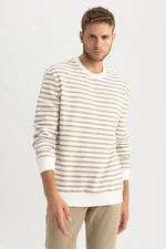 DEFACTO Comfort Fit Crew Neck Striped Sweatshirt