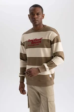 DEFACTO Boxy Fit Long Sleeve Sweatshirt