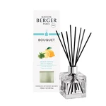 Maison Berger Paris Difuzér Cube Kůra z Verbeny Zest of Verbena 125 ml